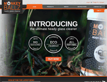 Tablet Screenshot of monkeyballzcleaner.com